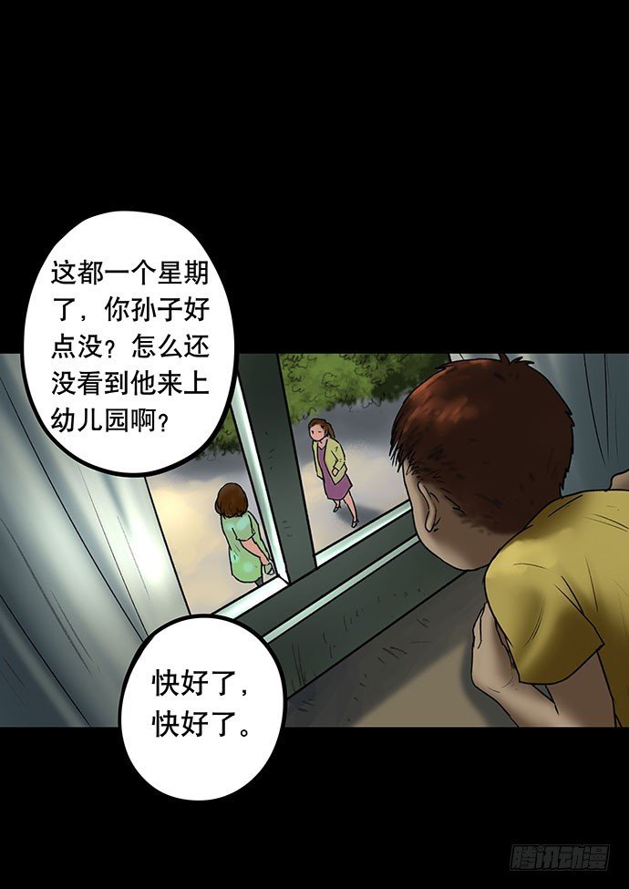 猫-5