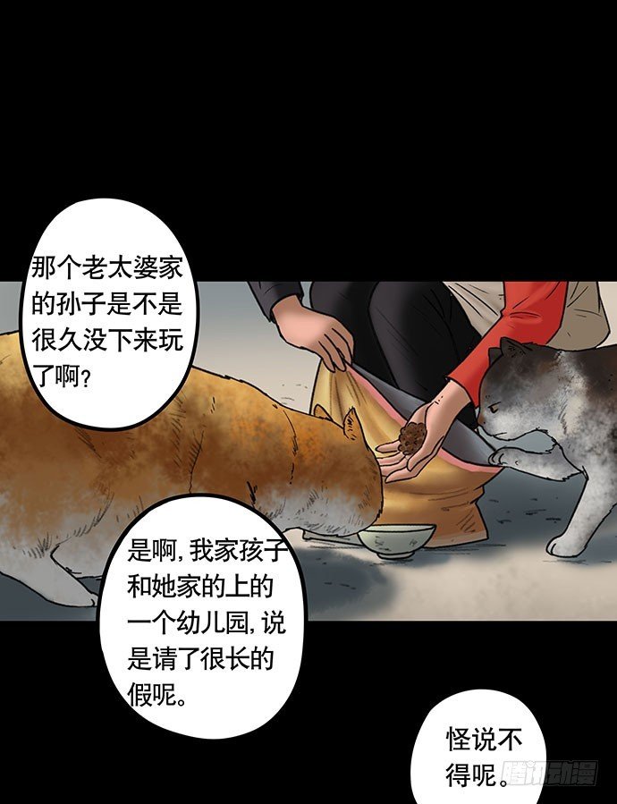 猫-5