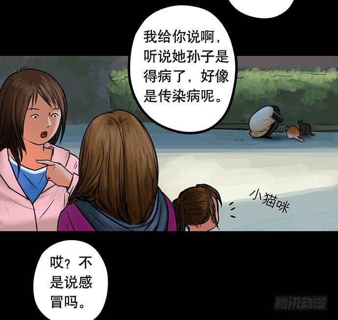 猫-5