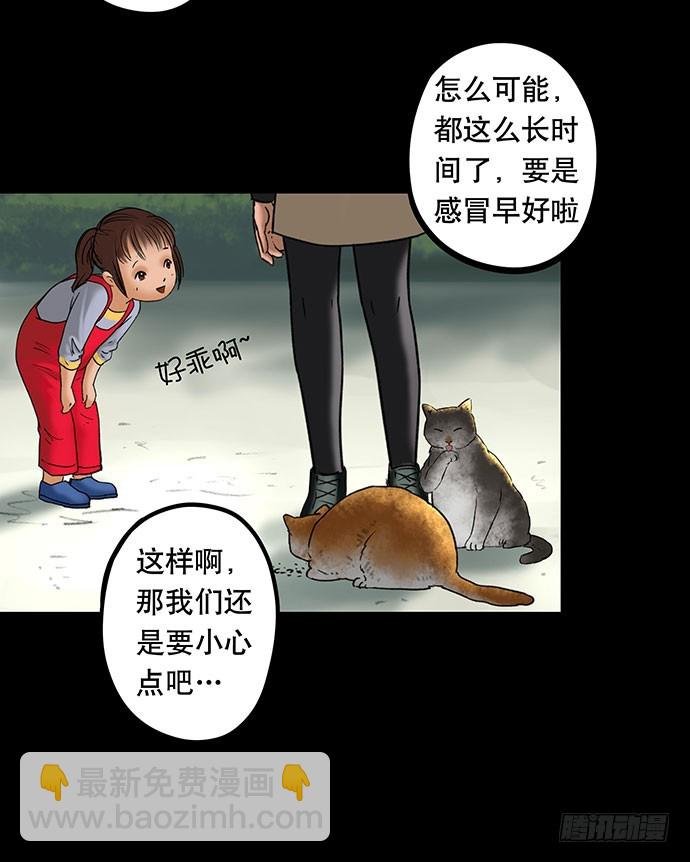 猫-5