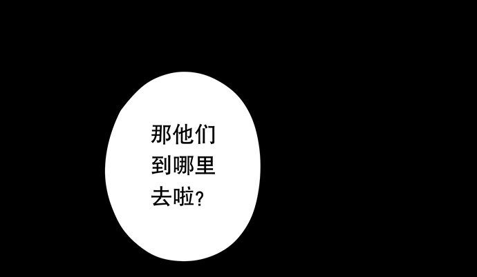 猫-5