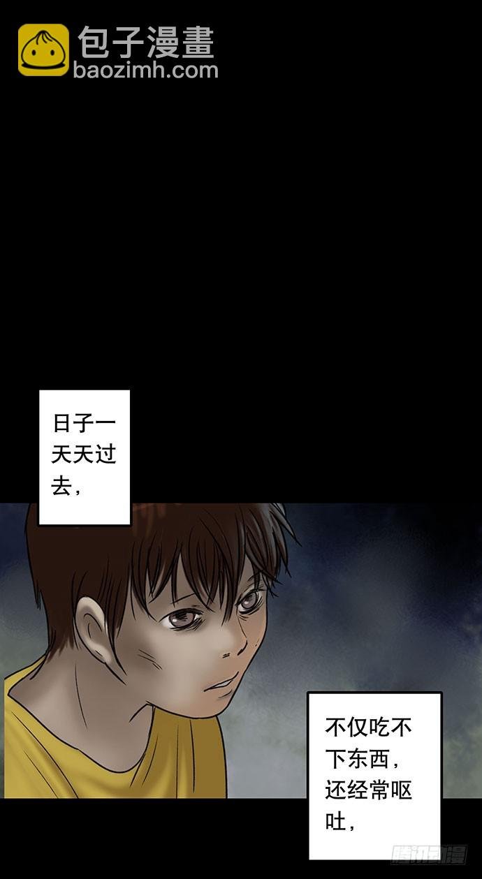 猫-5