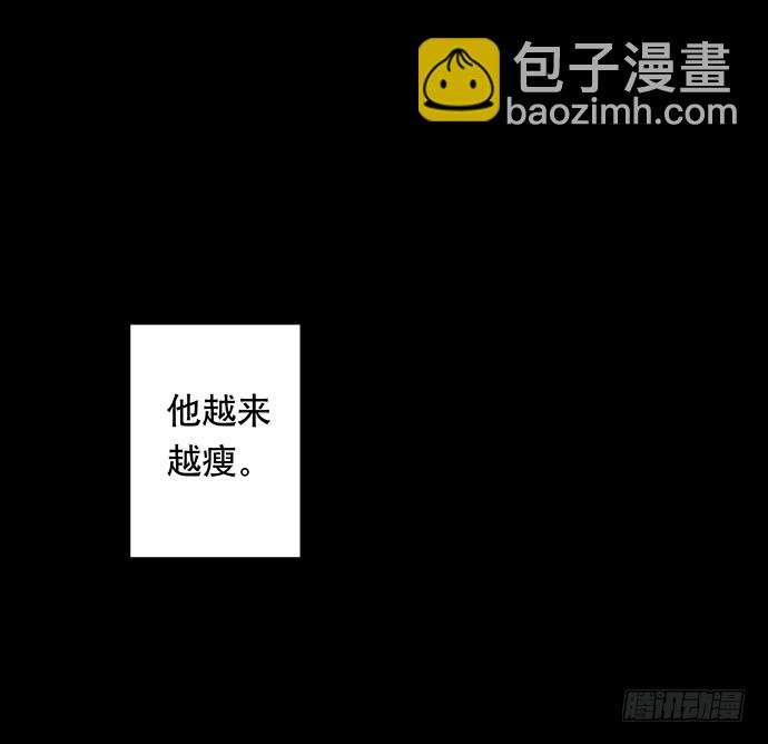 猫-5