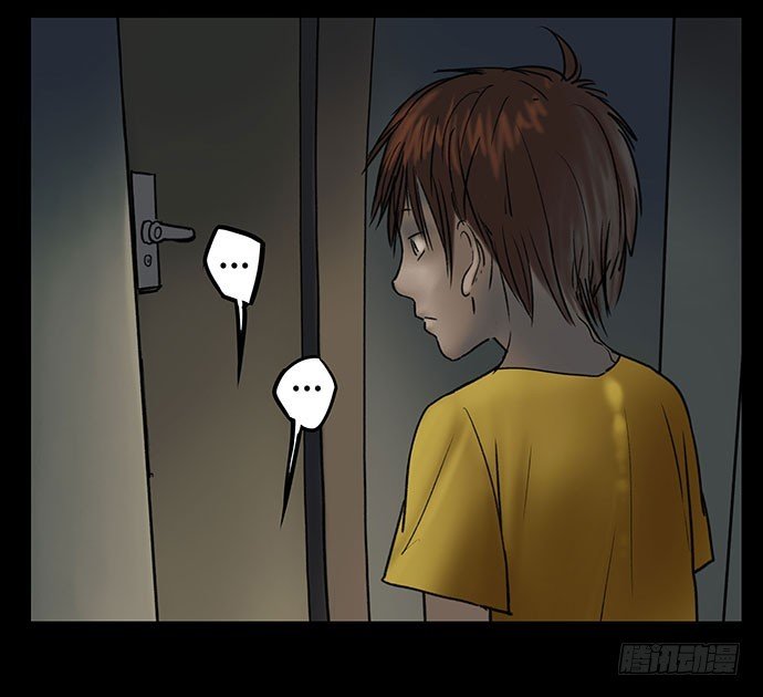 猫-5
