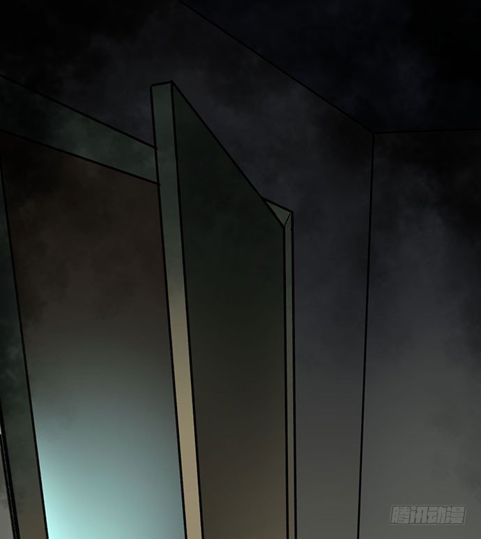 猫-5