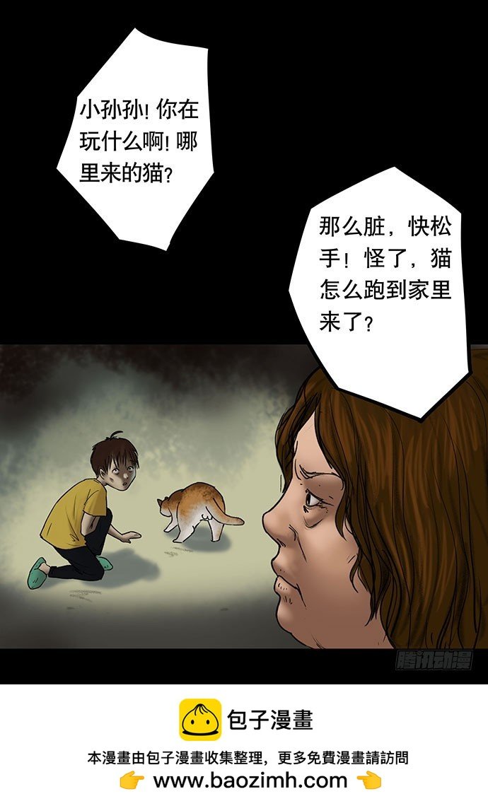 猫-5