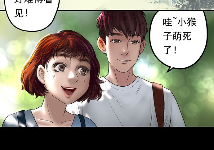 猴戏-1