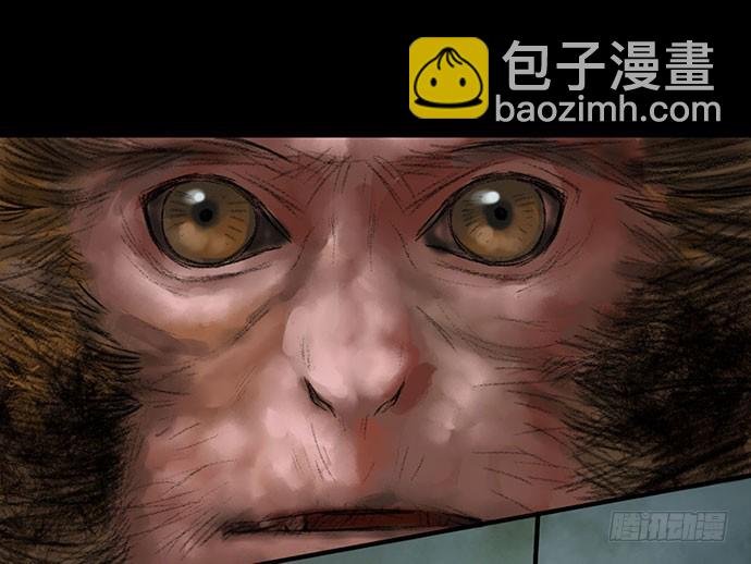 猴戏-1