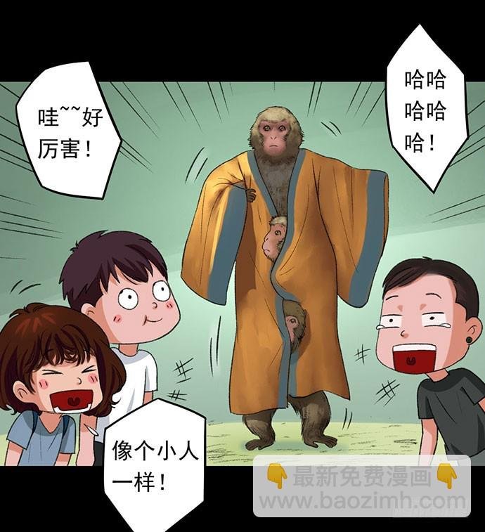 猴戏-1