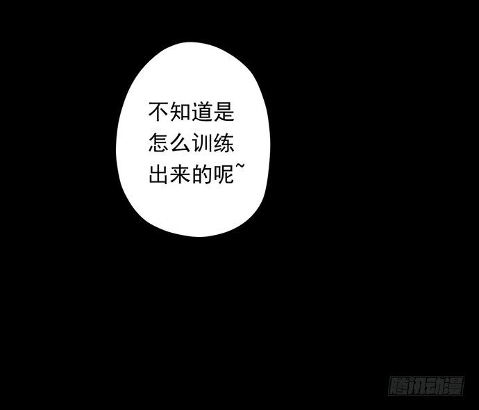 猴戏-1