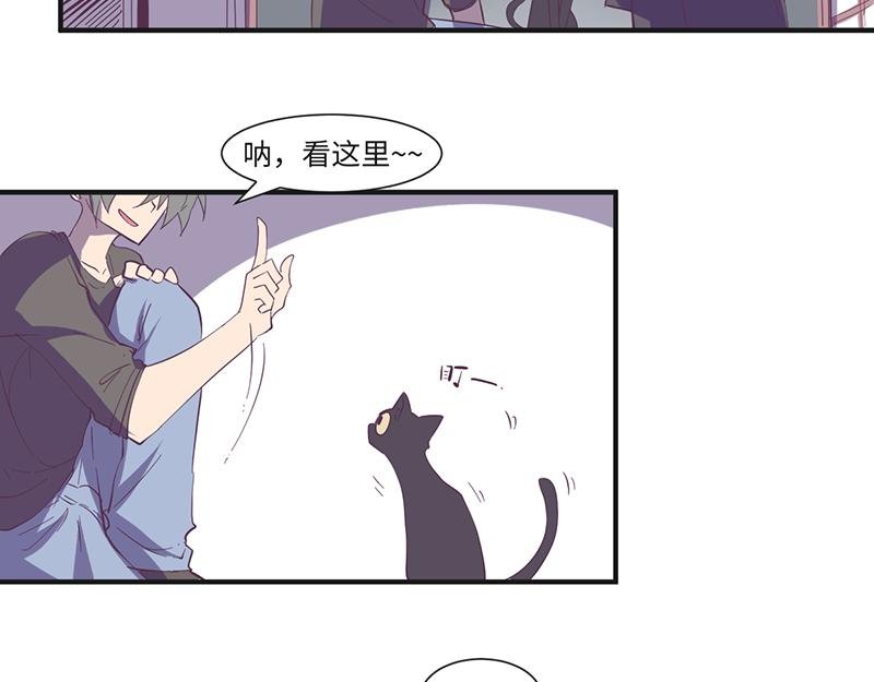 第18话 靠猫上位