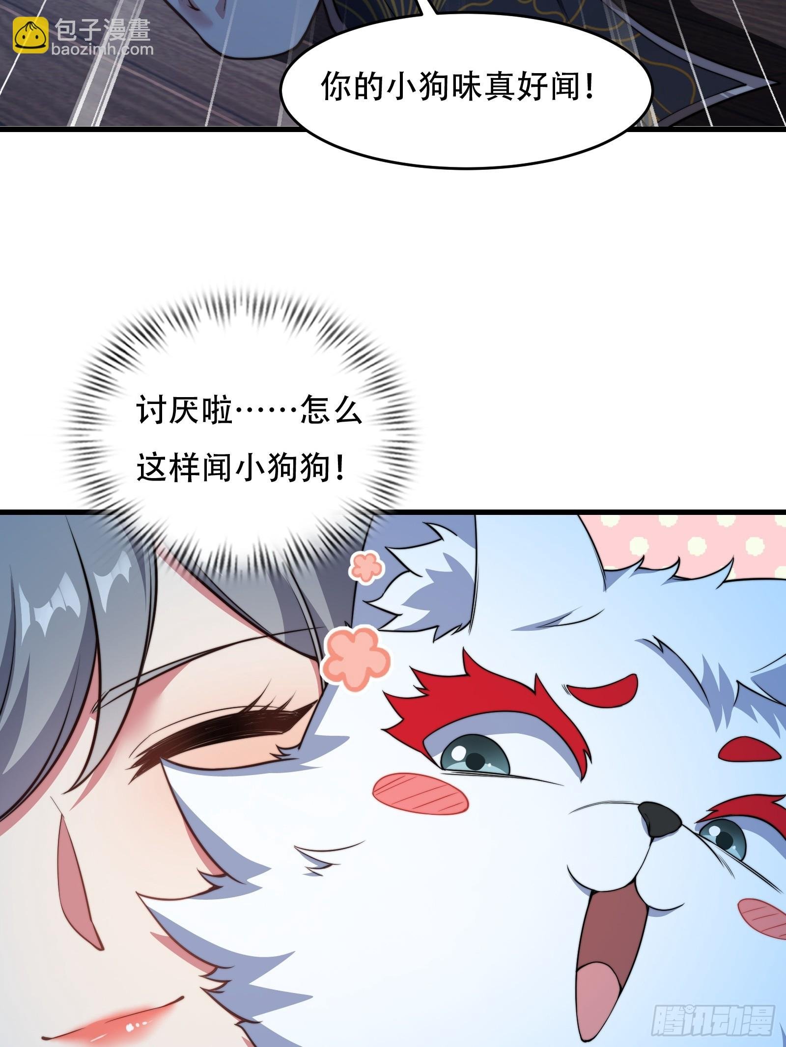 第73话 狗要去哪里
