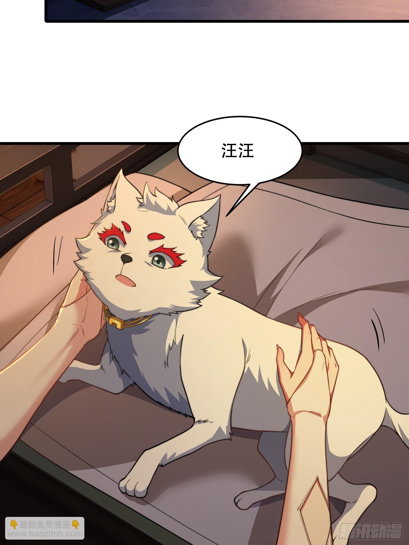 第73话 狗要去哪里