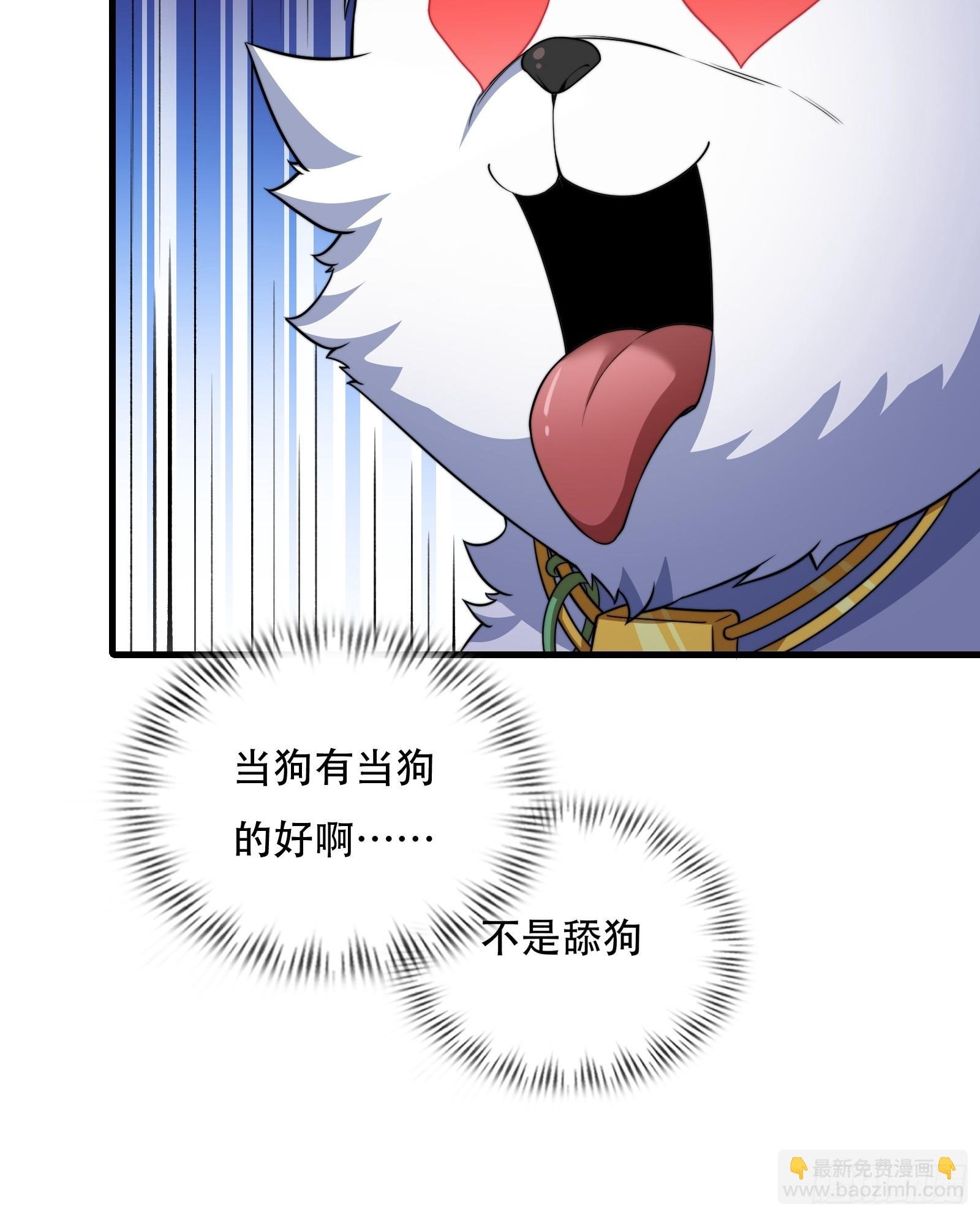 第73话 狗要去哪里