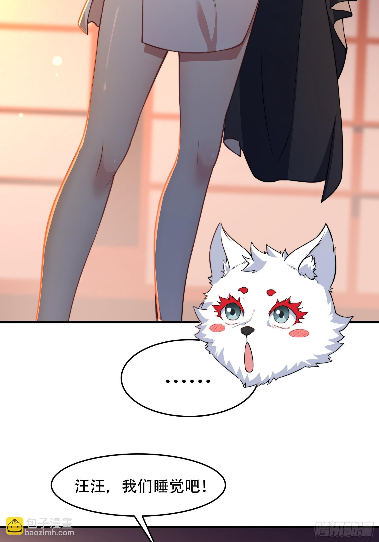 第73话 狗要去哪里