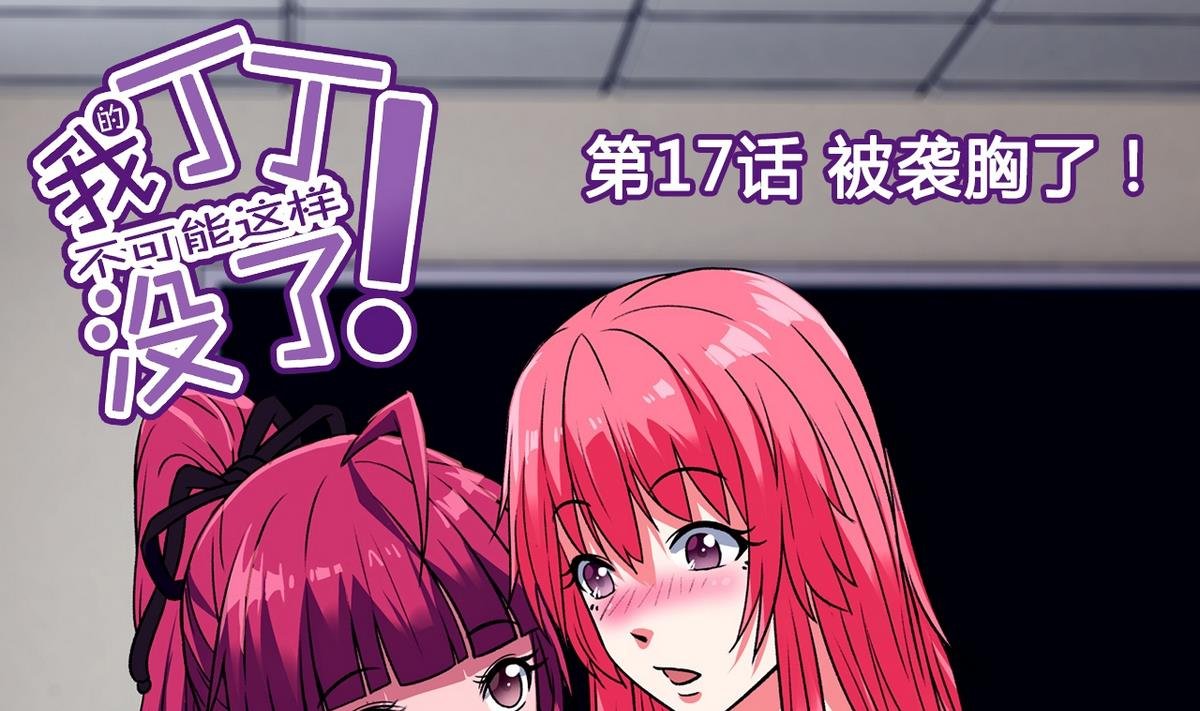 第17话 被袭胸了