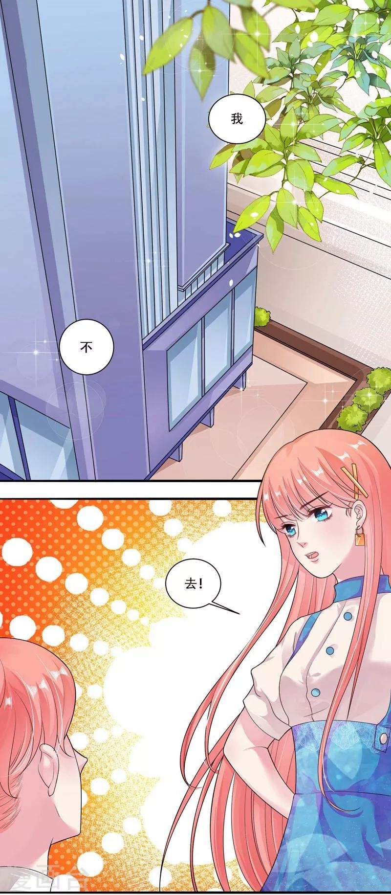 第31话 贵宾犬