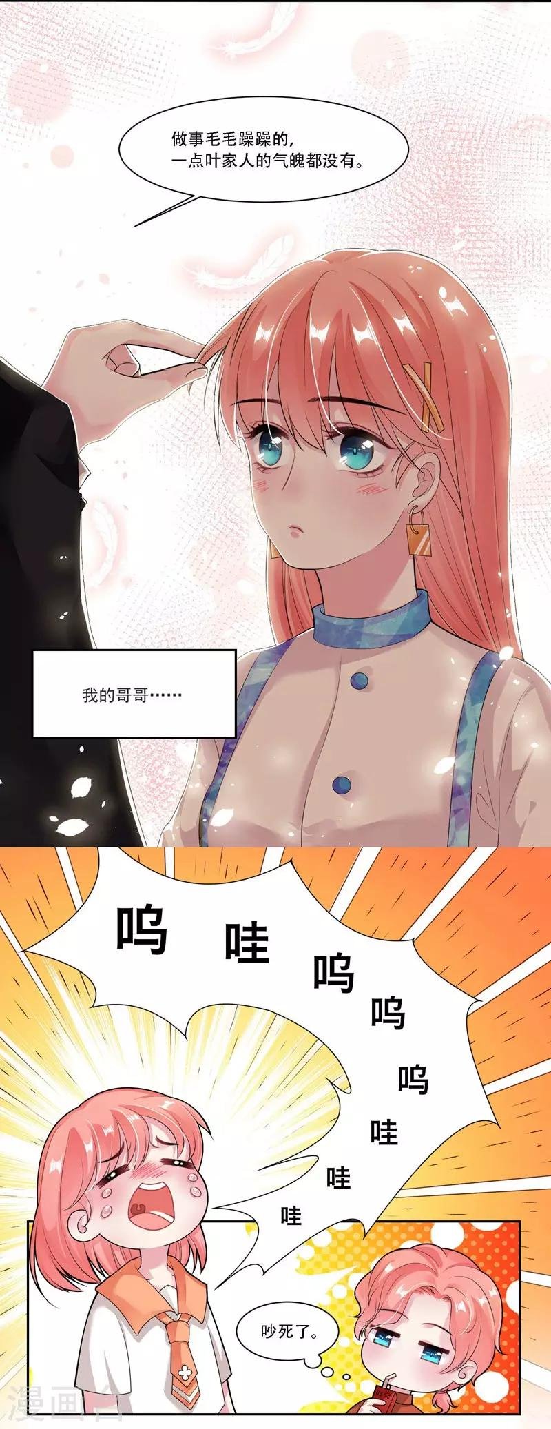 第31话 贵宾犬