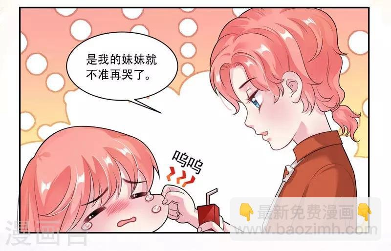 第31话 贵宾犬
