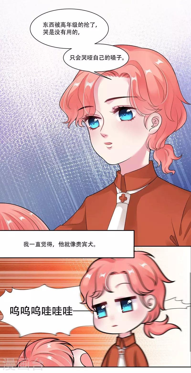 第31话 贵宾犬