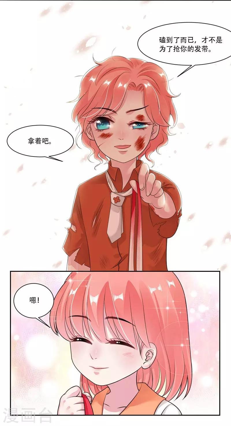 第31话 贵宾犬