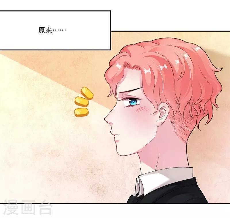 第31话 贵宾犬