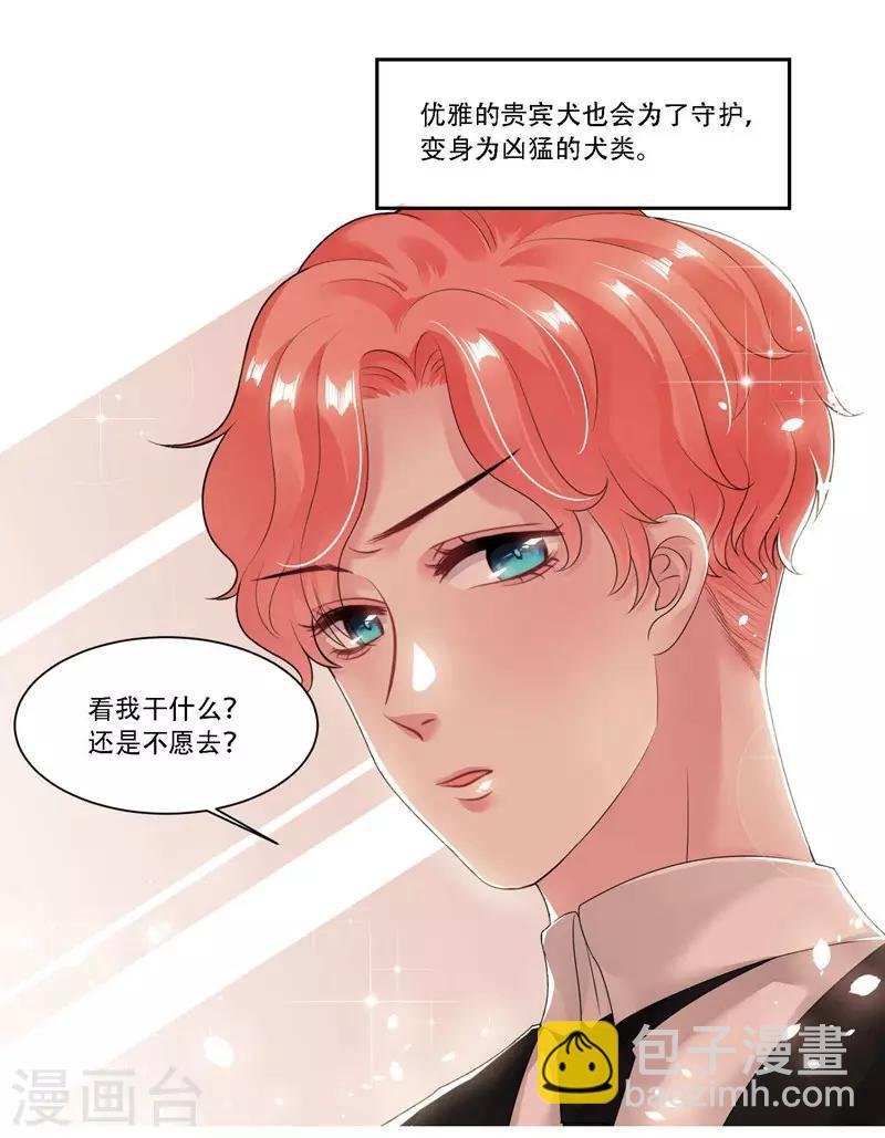 第31话 贵宾犬