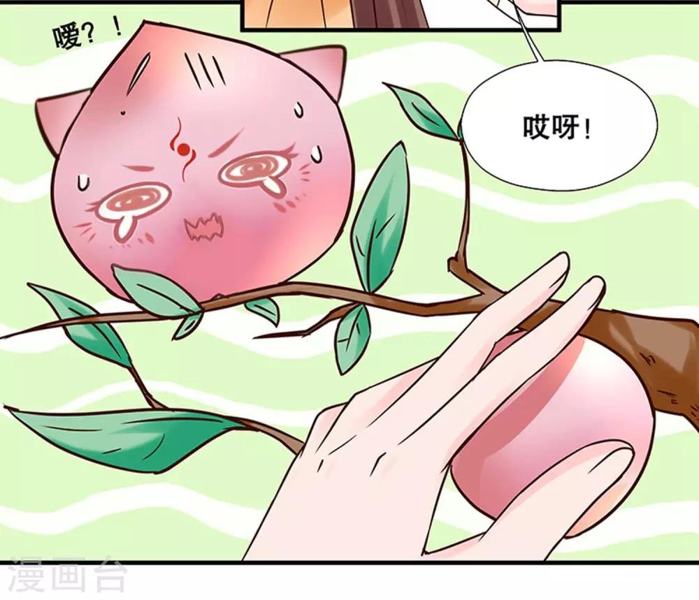 第1话 看上一只美男子