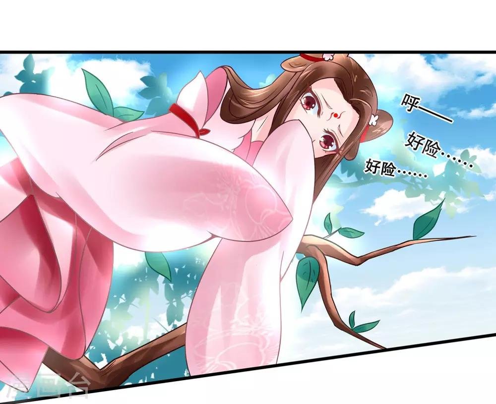 第1话 看上一只美男子