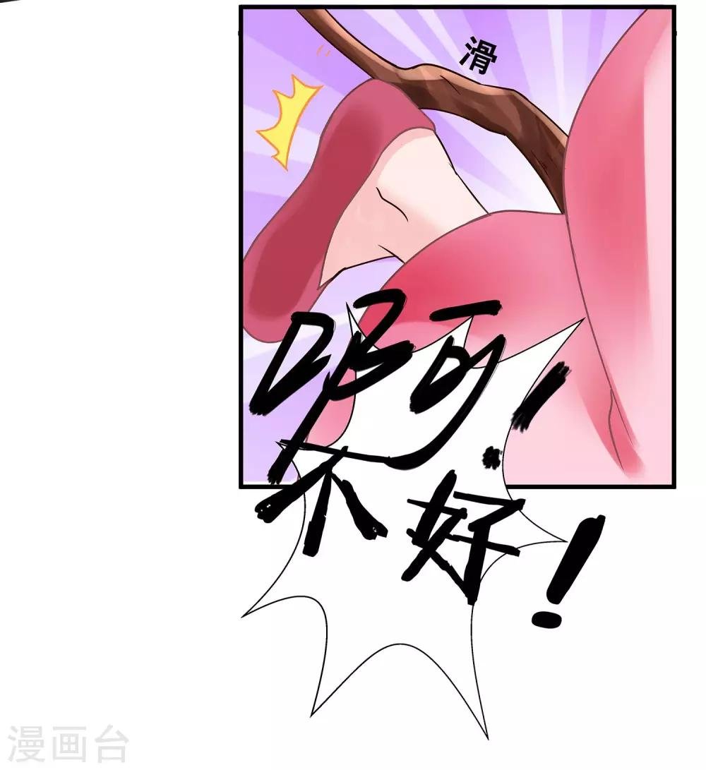 第1话 看上一只美男子