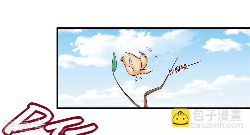 第1话 看上一只美男子
