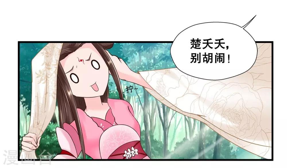 第1话 看上一只美男子