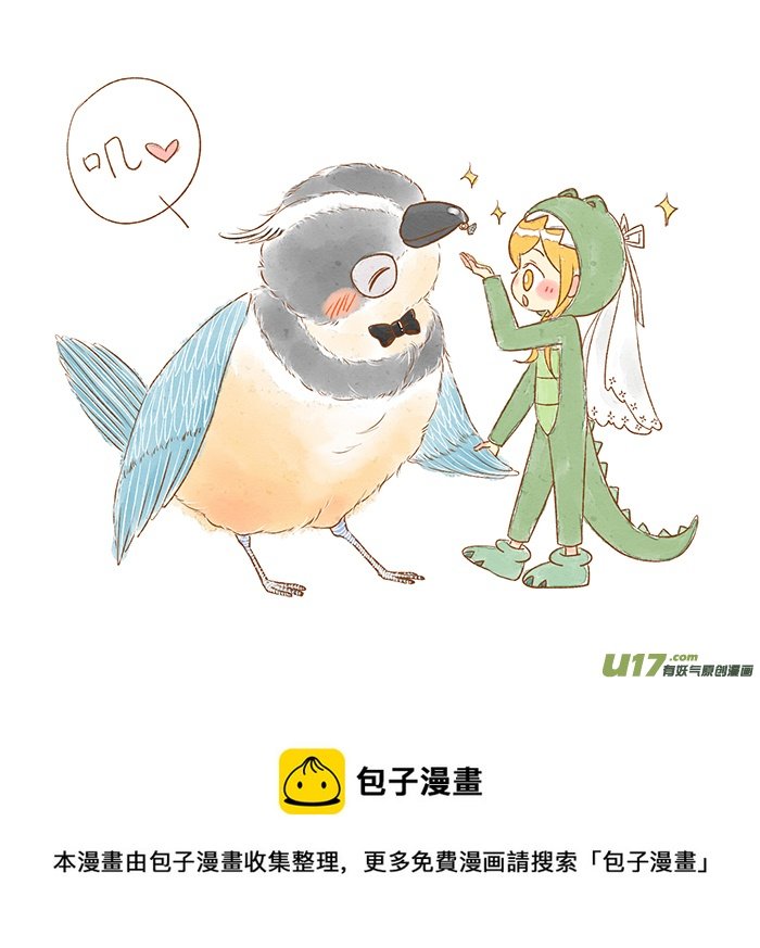 鳄鱼鸟