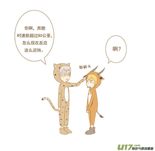豹和羚