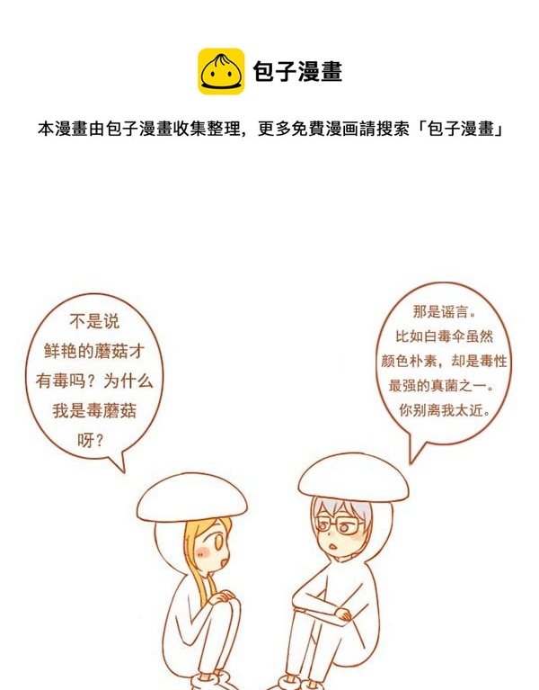 小蘑菇
