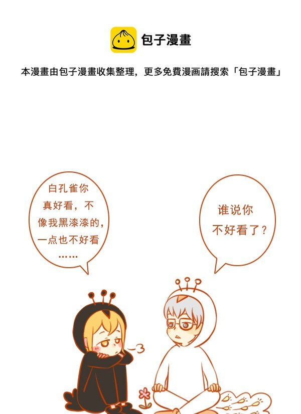 黑孔雀
