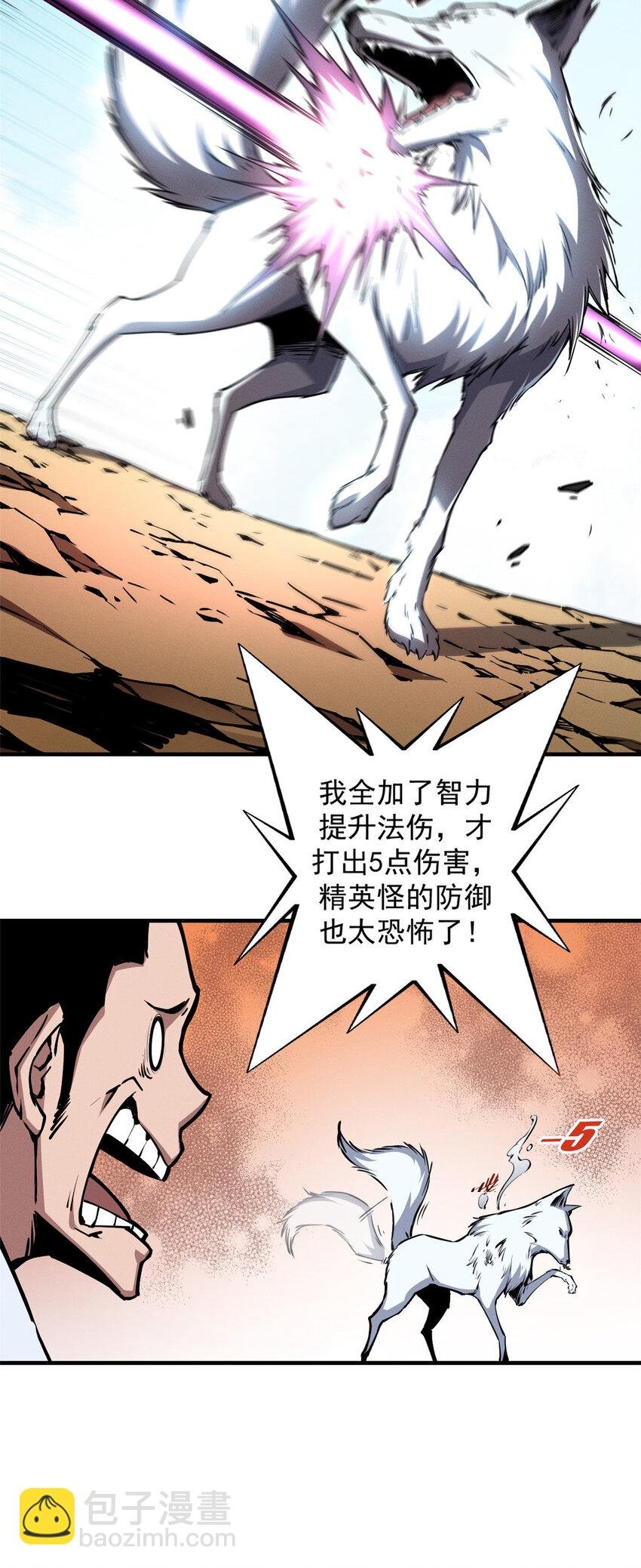 11 狡诈雪狐