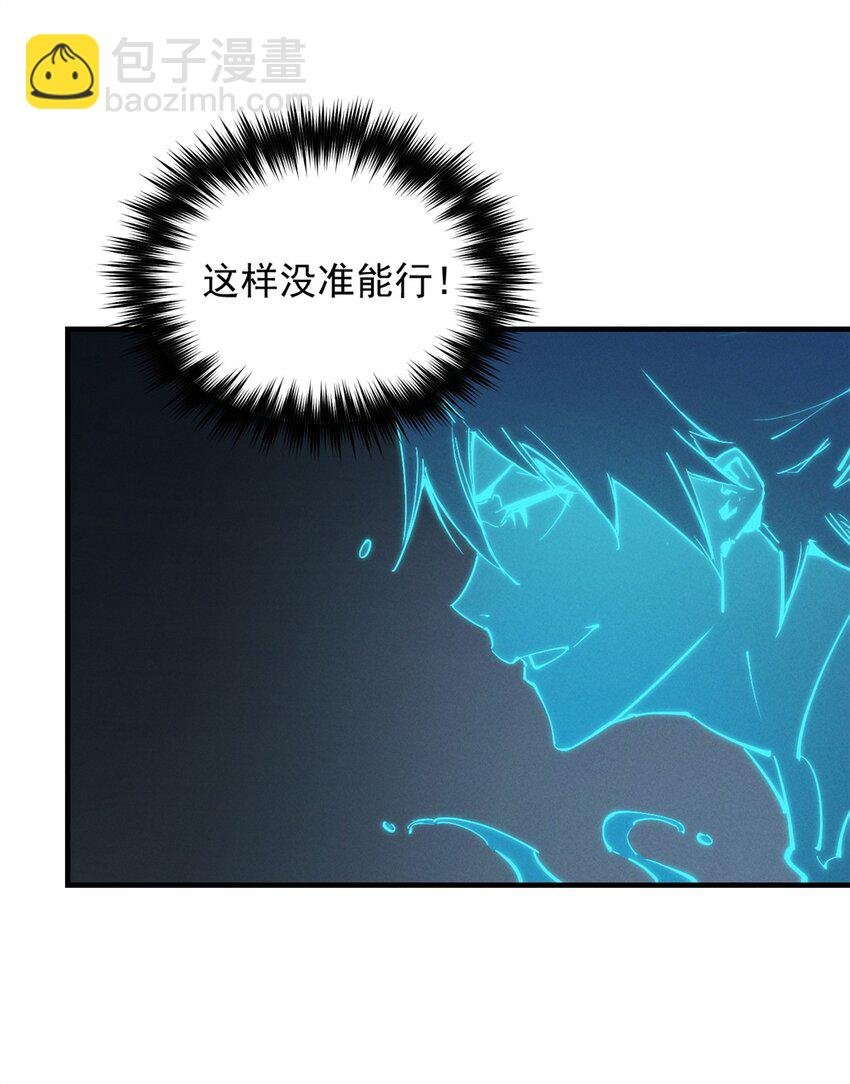 36 月光林地