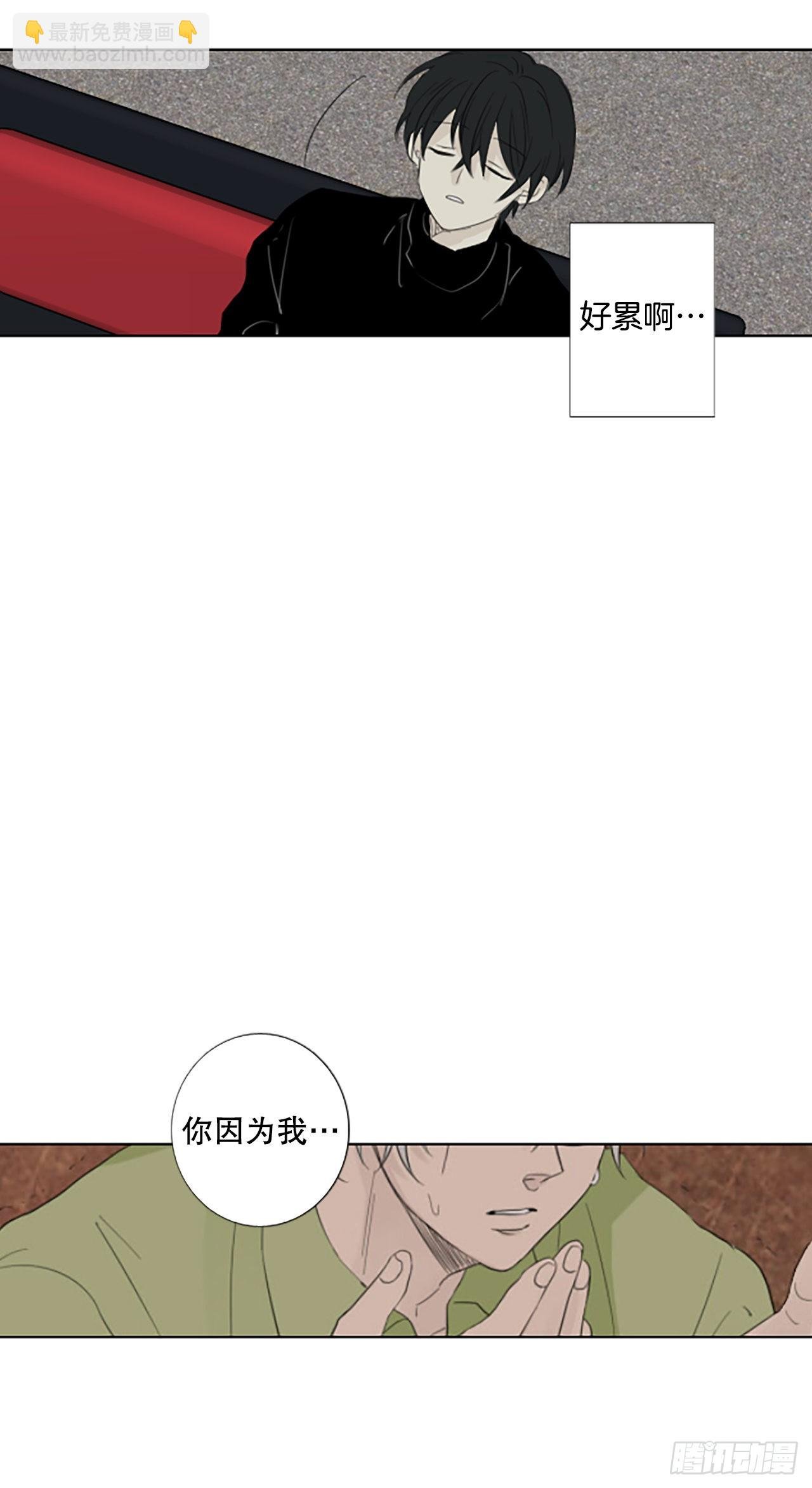 83.圣战——偶然和缘分（5）