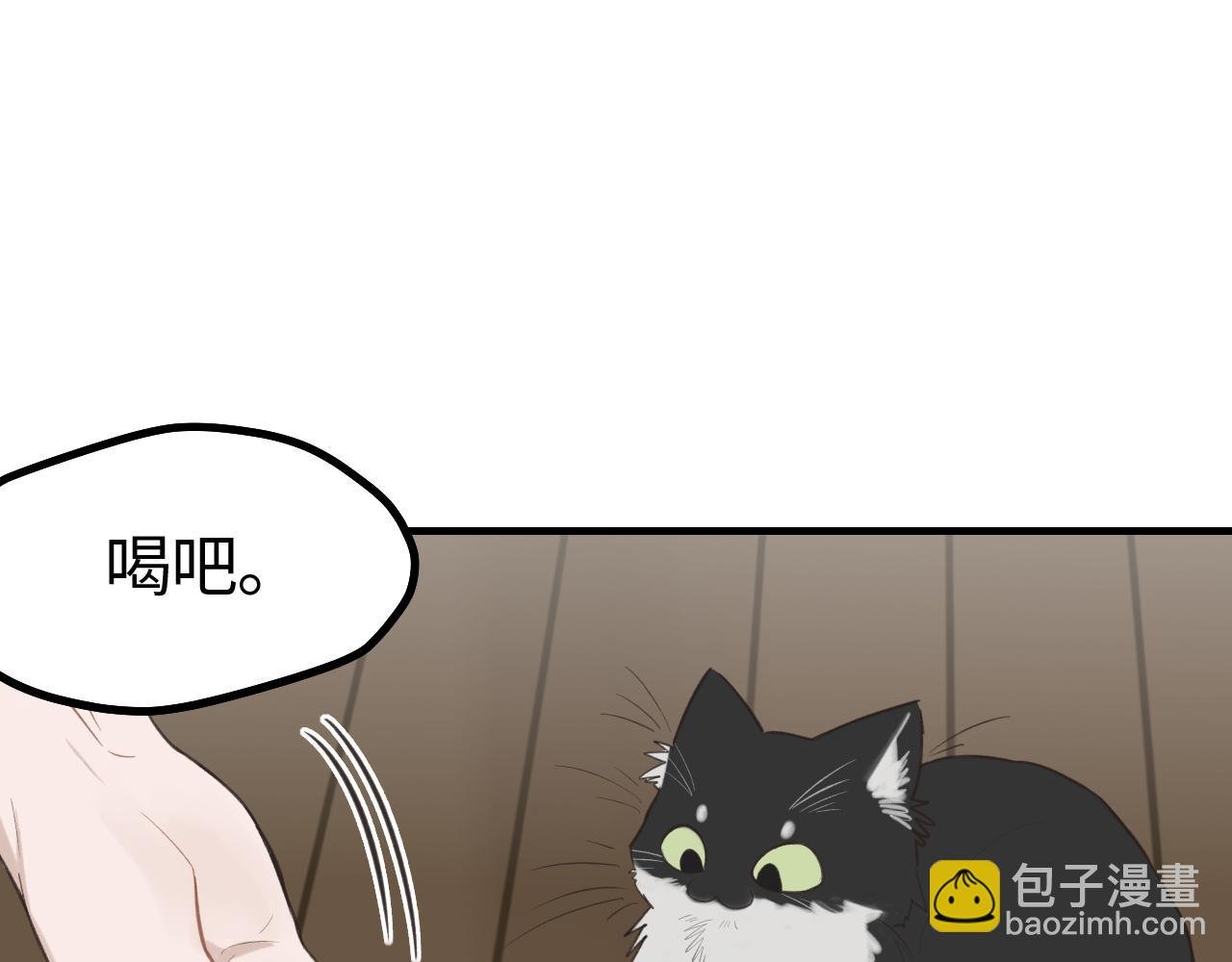 第12话 为养猫做准备