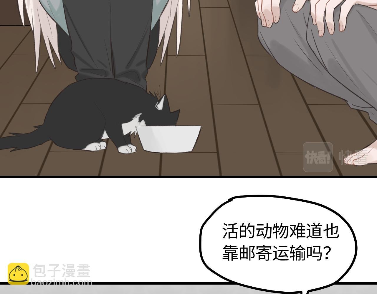 第12话 为养猫做准备
