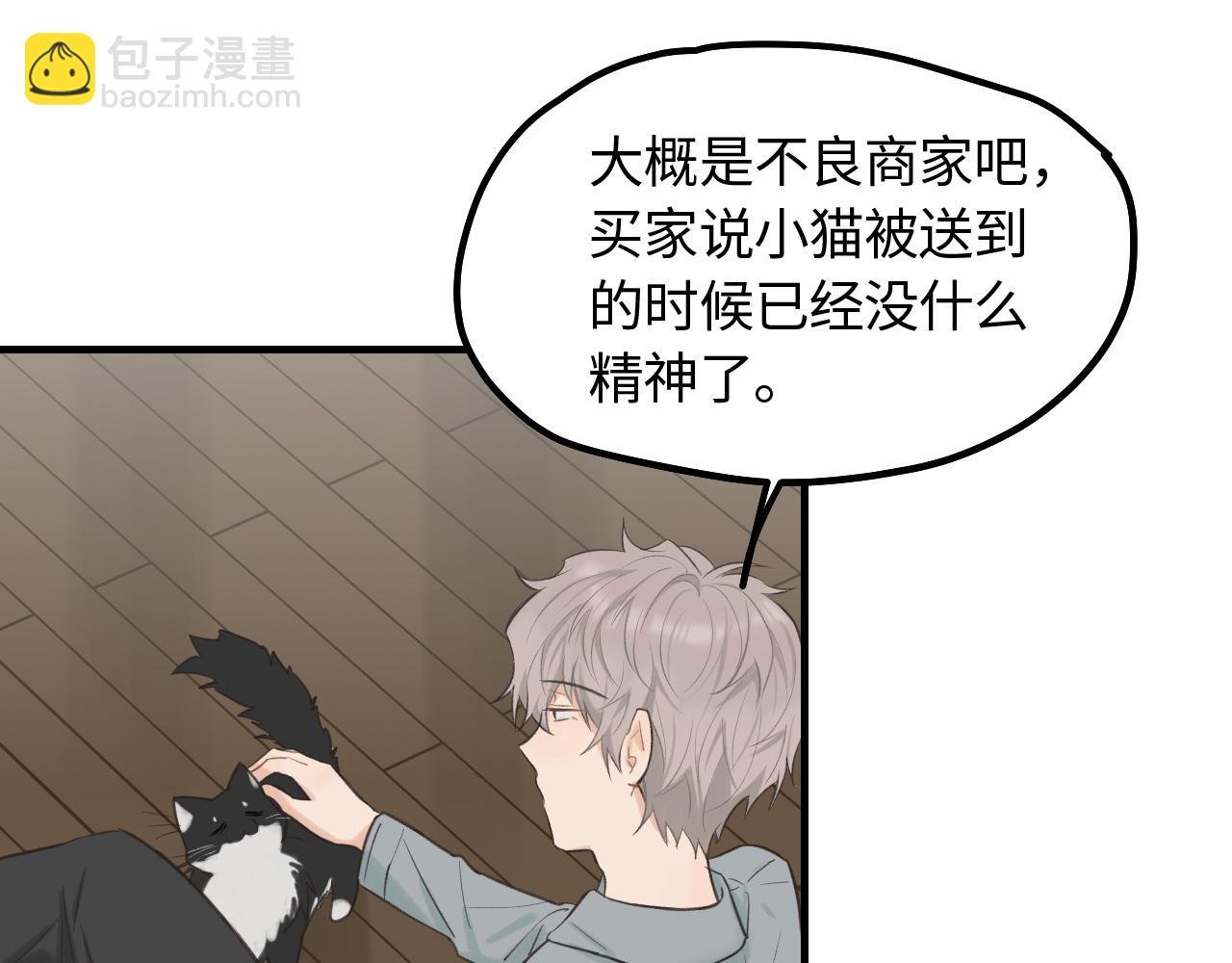第12话 为养猫做准备