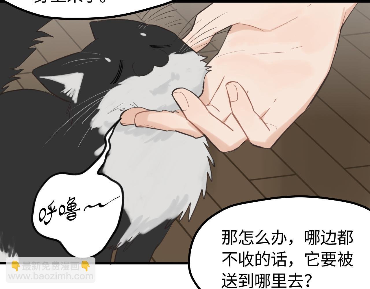第12话 为养猫做准备