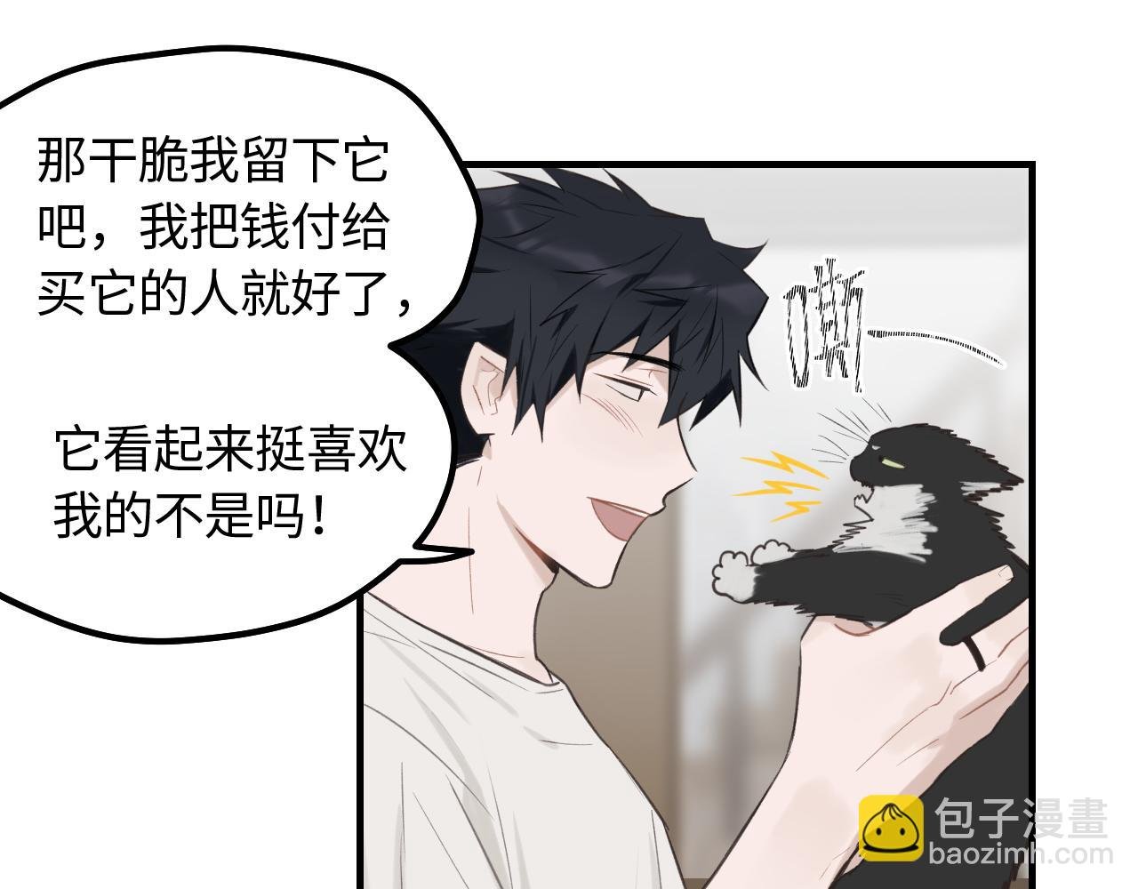 第12话 为养猫做准备