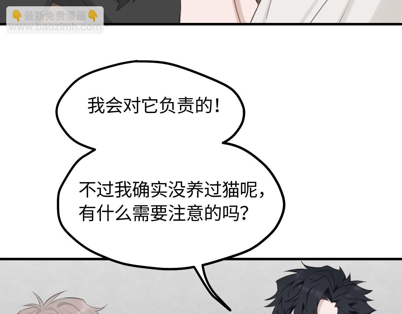 第12话 为养猫做准备