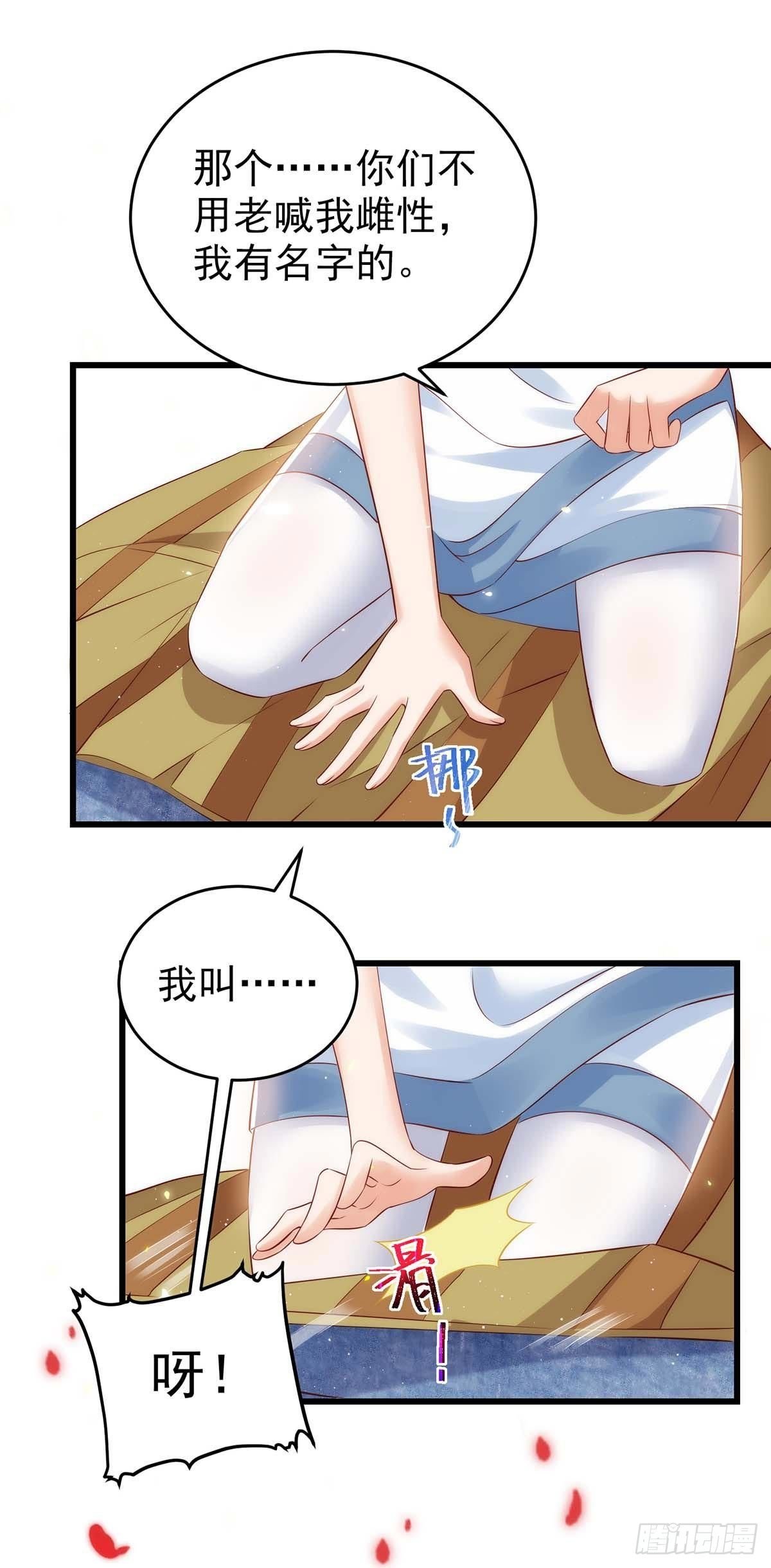 第4话 善良的雌性