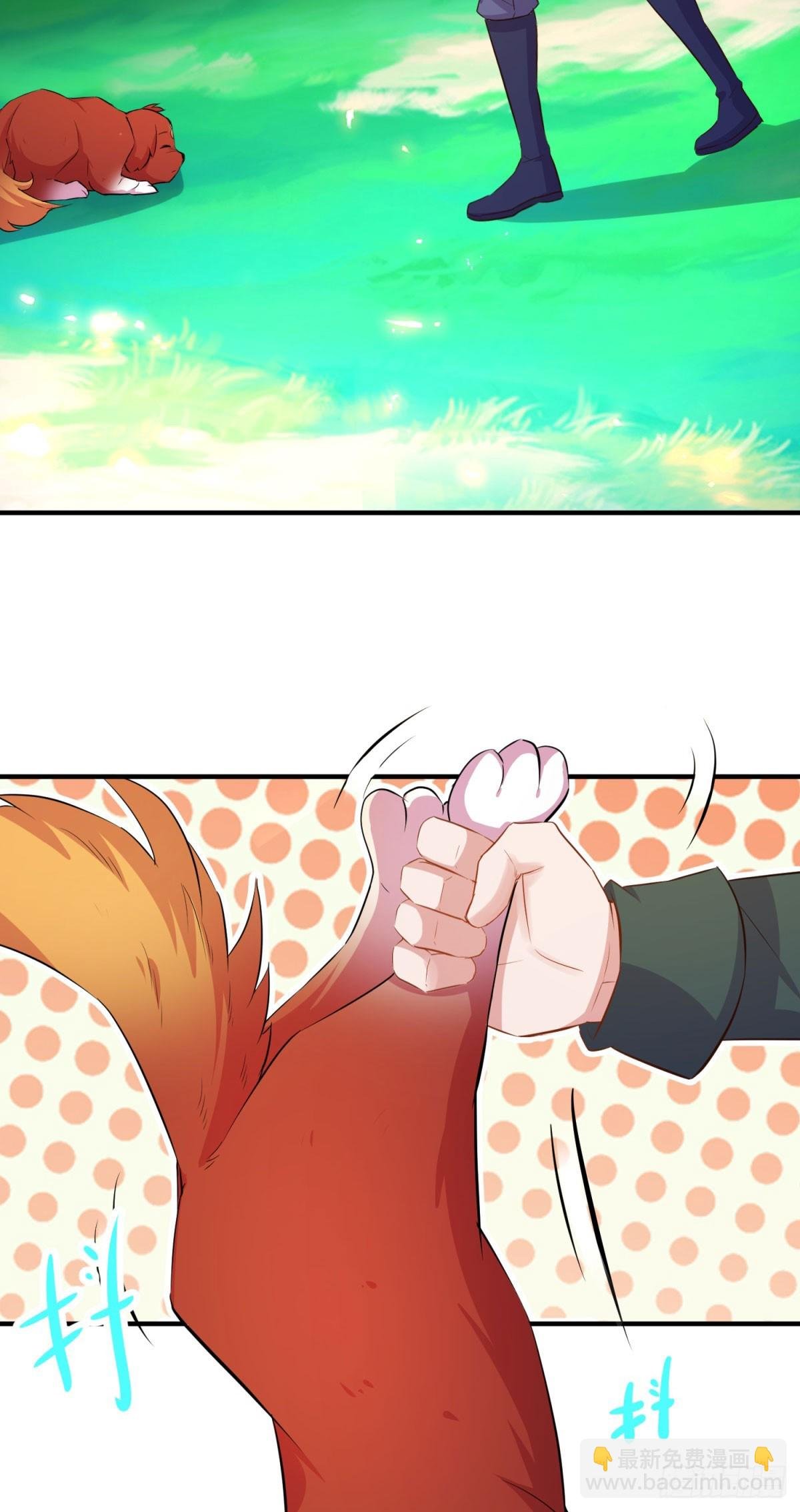 第287话 幼犬