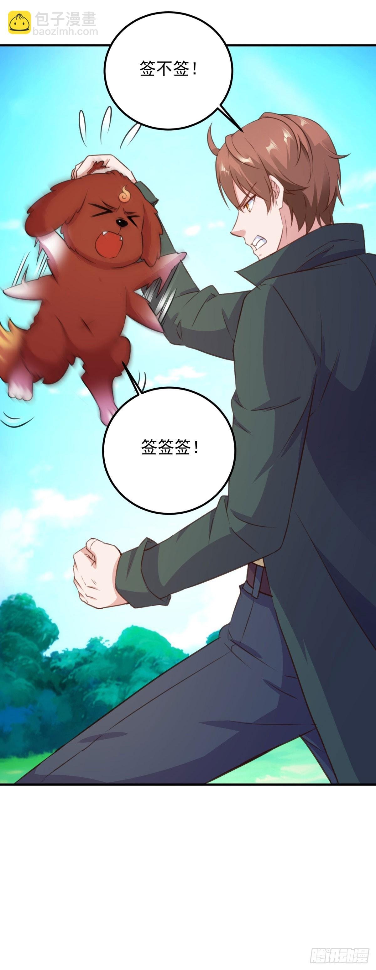 第287话 幼犬