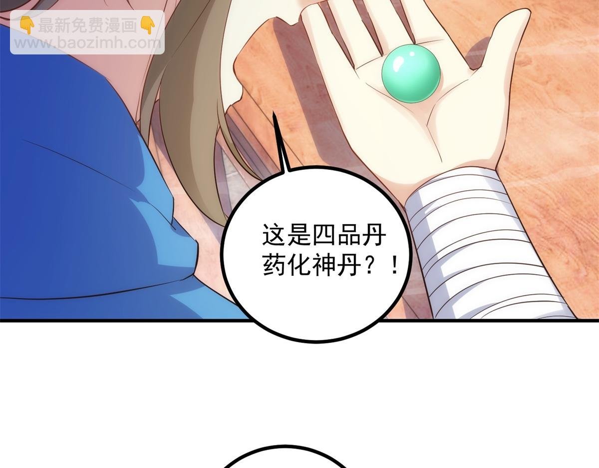 第294话 馈赠化神丹