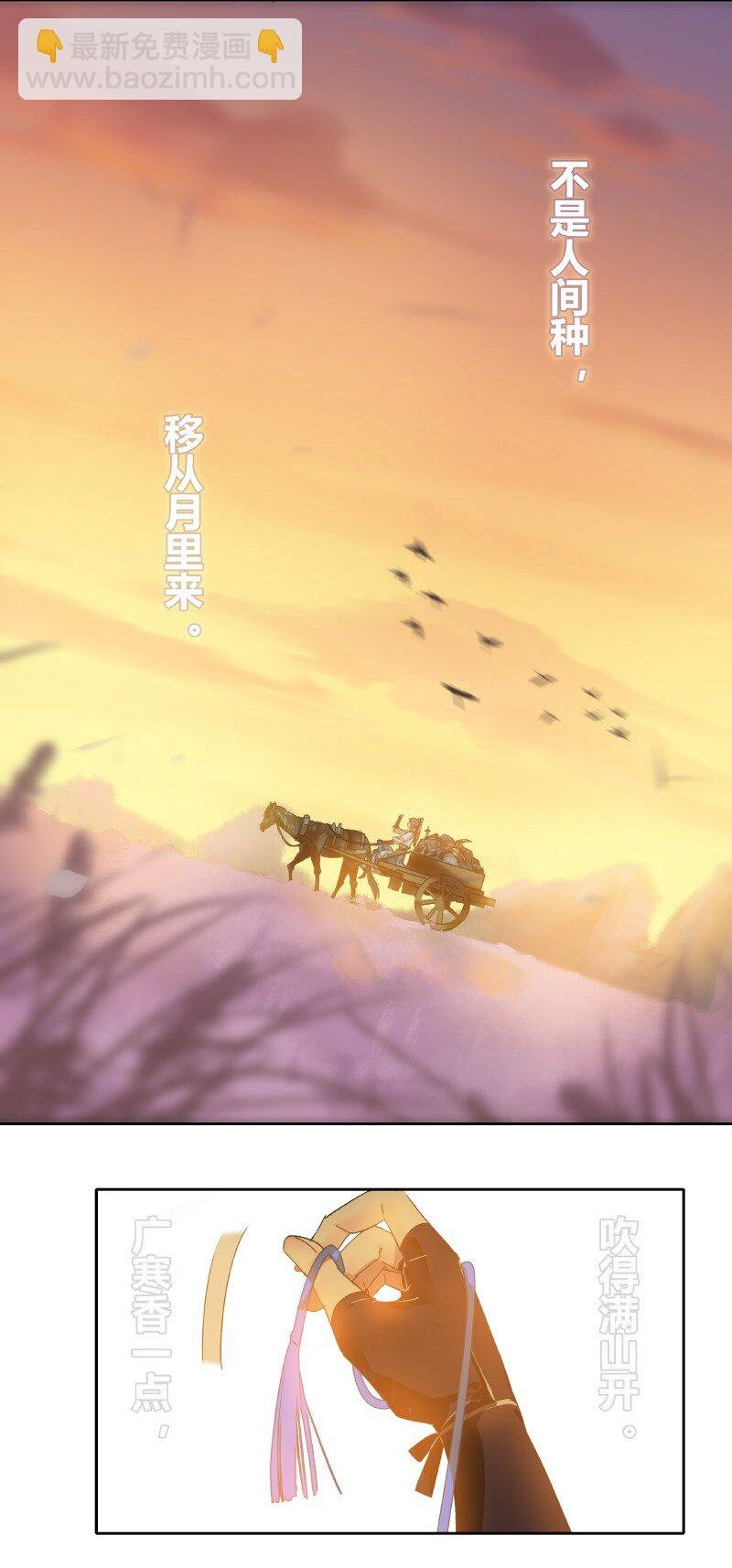 155 为了他放弃森林
